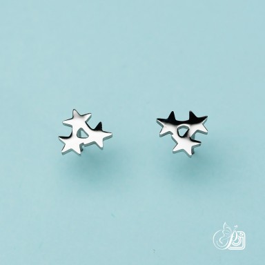 Pair of earrings in stainless steel