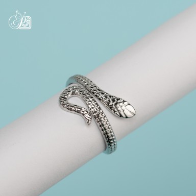 Adjustable snake ring in stainless steel