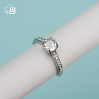 Adjustable ring in stainless steel