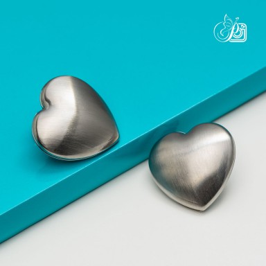 Earrings in stainless steel