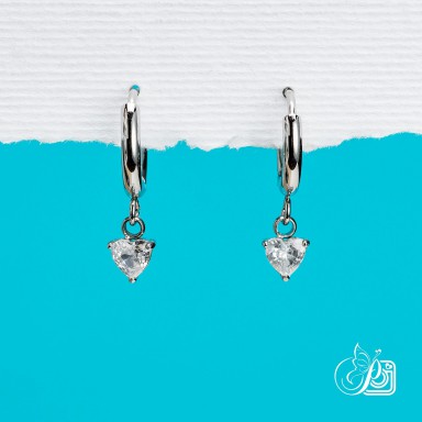 Earrings in stainless steel