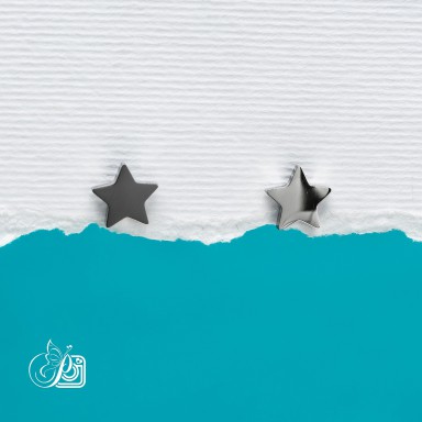 copy of Pair of mini EARRING
