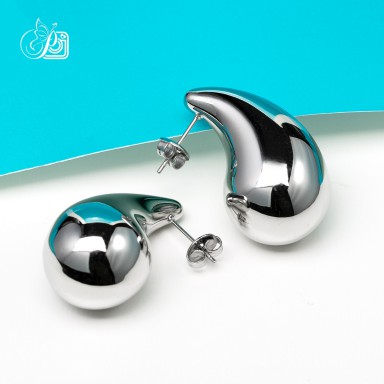 Earrings in stainless steel