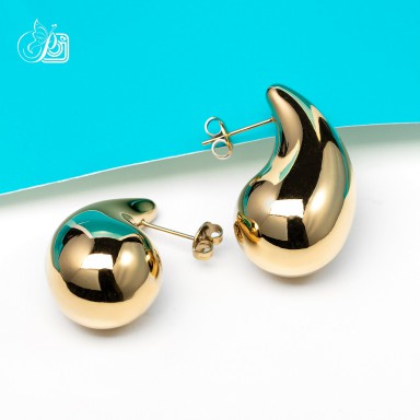 Earrings in stainless steel