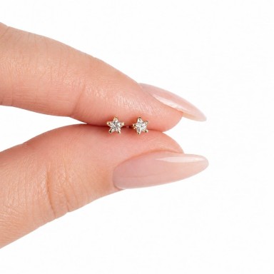 Coppia micro orecchini Stelline griffe